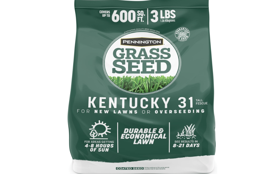 
Pennington Kentucky 31 Tall Fescue Grass Seed, Drought-Resistant, 3 LB | Full Sun to Moderate Shade, for Residential Lawns, Grass Seeds