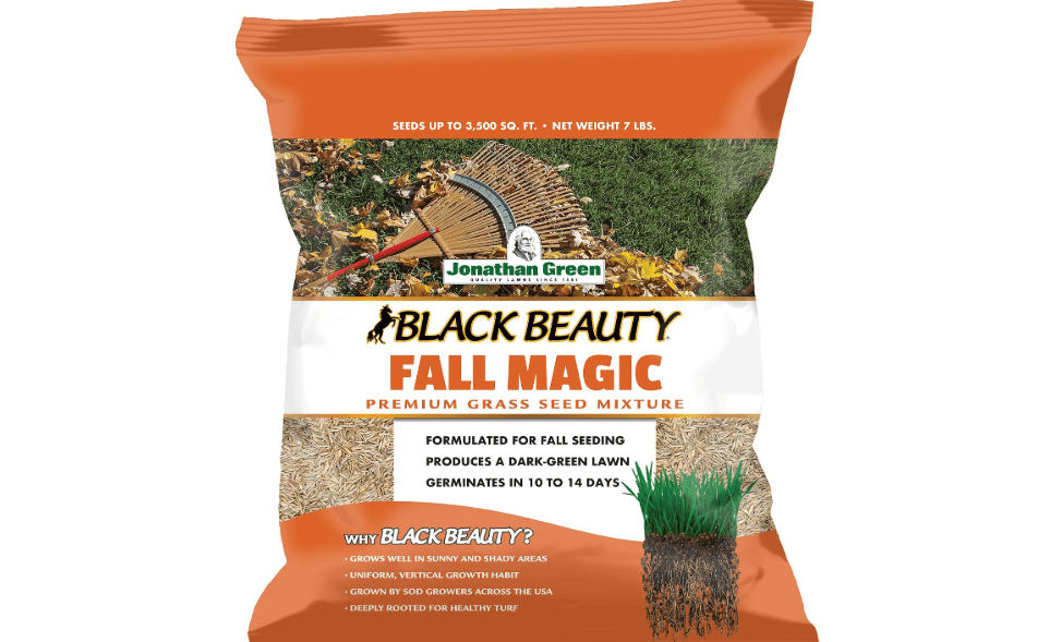 
Jonathan Green Black Beauty Fall Magic Grass Seed