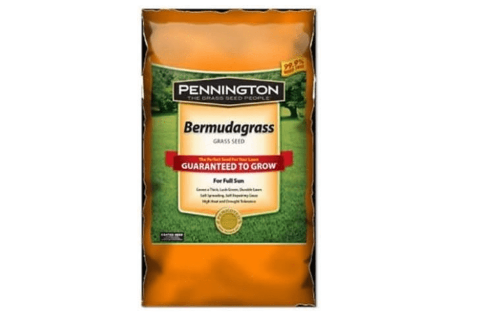 Pennington Sahara Bermuda Grass Seed 1LB, 1000 sq. ft. Coverage, 16 fl.oz, Full Sun, Somewhat