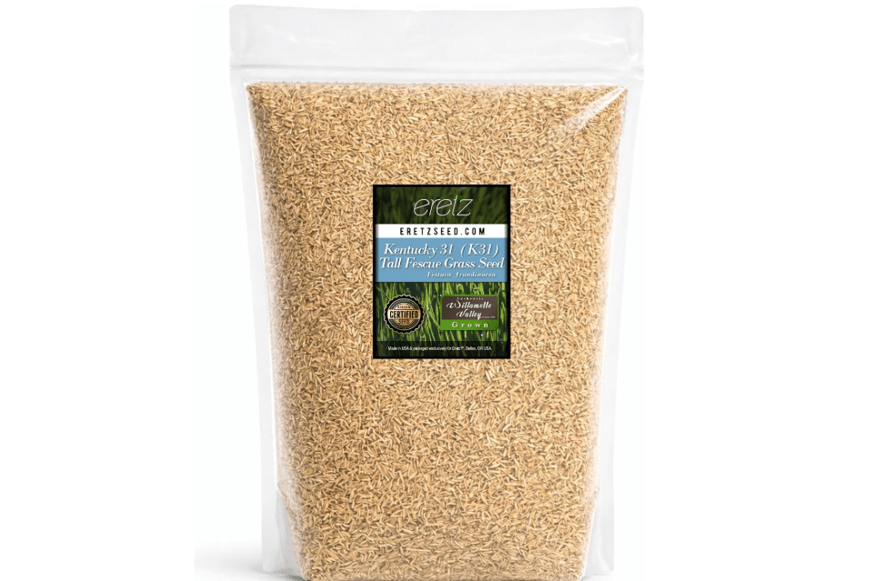 
Kentucky 31 K31 Tall Fescue Grass Seed by Eretz - Choose Size! State Certified, No fillers, No Weed or Other Crop Seeds
