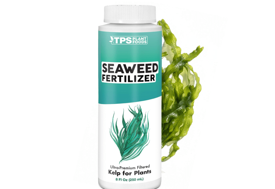 
Seaweed Fertilizer – Organic Liquid Kelp Plant Food for All Plants, 8 oz | Eases Transplant Shock, Strengthens Root Growth, Concentrated Formula for
