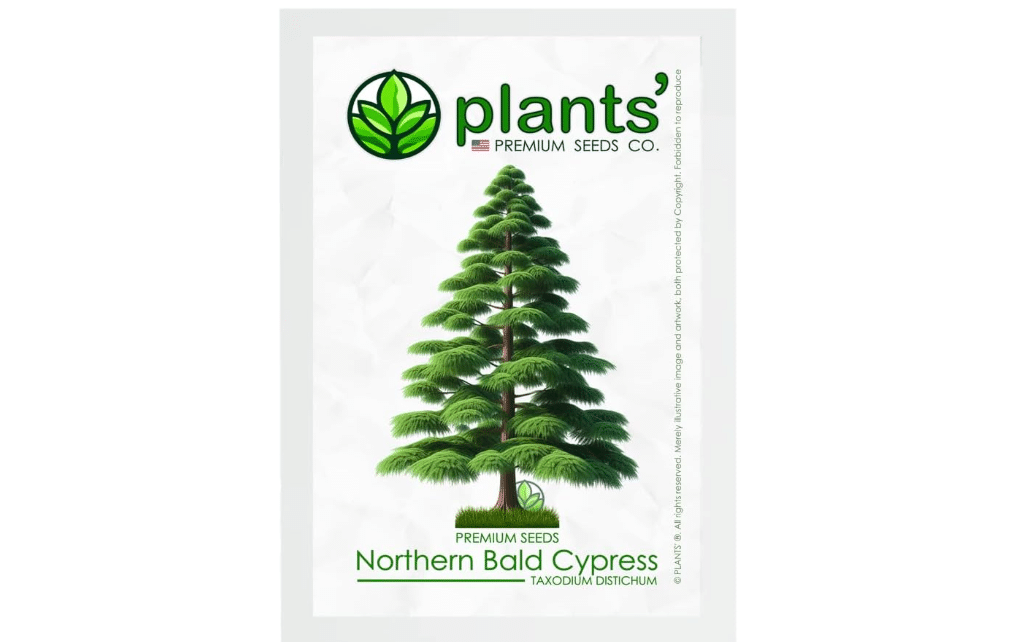 
Northern Bald Cypress Tree | Premium Seeds | Taxodium distichum 'Summer' | Plants'® (Premium Seeds,