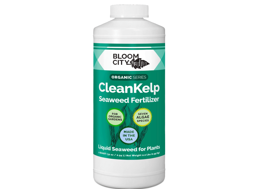 Bloom City Seaweed and Kelp Liquid Fertilizer for Plants, 32 oz | Encourages Strong Root Growth, Helps Ease Transplant Shock, Foliar Spray or Soil Drench