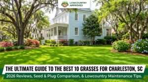 best grass for charleston sc