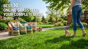 best online grass seed