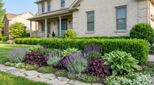 what to plant in front of boxwoods