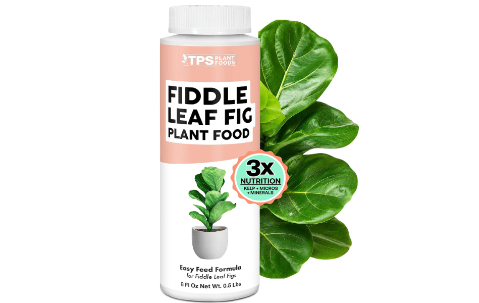 Fiddle Leaf Fig Fertilizer, Liquid Plant Food for Bigger Leaves, 8oz | Encourages New Growth, Kelp-Enriched Formula, Reduces Yellowing & Leaf Drop