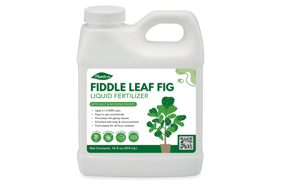 Fiddle Leaf Fig Fertilizer 3-1-2 - Liquid Fertilizer for FLF and Ficus Trees - Quick Results and Fast-Acting Nutrients | Makes up to 192 Cups of Fig Tree
