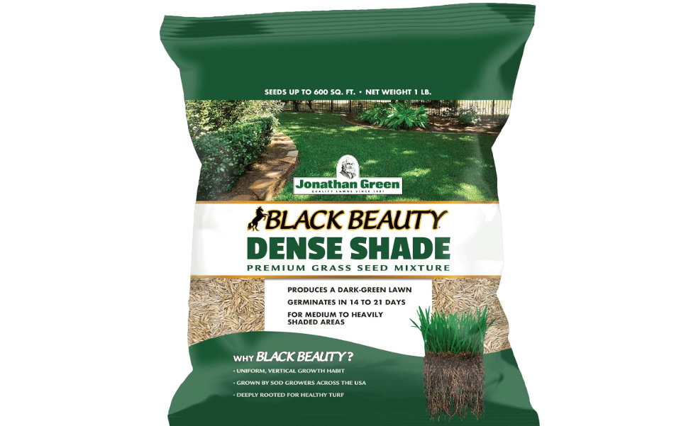 Jonathan Green Black Beauty Dense Shade Grass Seed - 1 lb | Grows Well in Medium to Densely Shaded