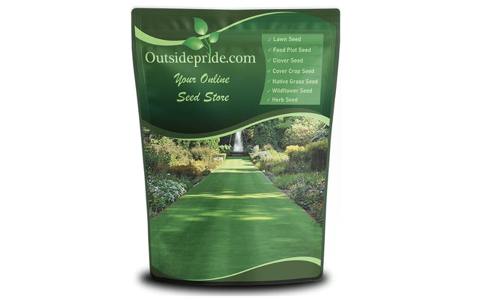 Outsidepride Legacy Fine Fescue Grass Seed Mix - 10 lbs. Perennial, Pure Raw Seed w/ 0.00% Other Crop & Weed Seed