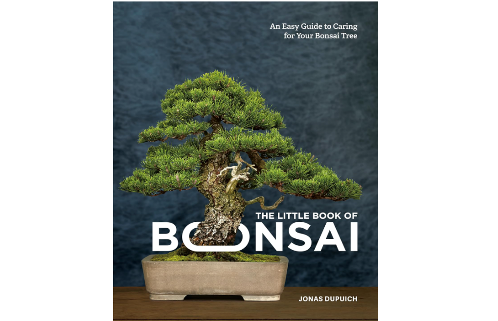 The Little Book of Bonsai: An Easy Guide to Caring for Your Bonsai Tree