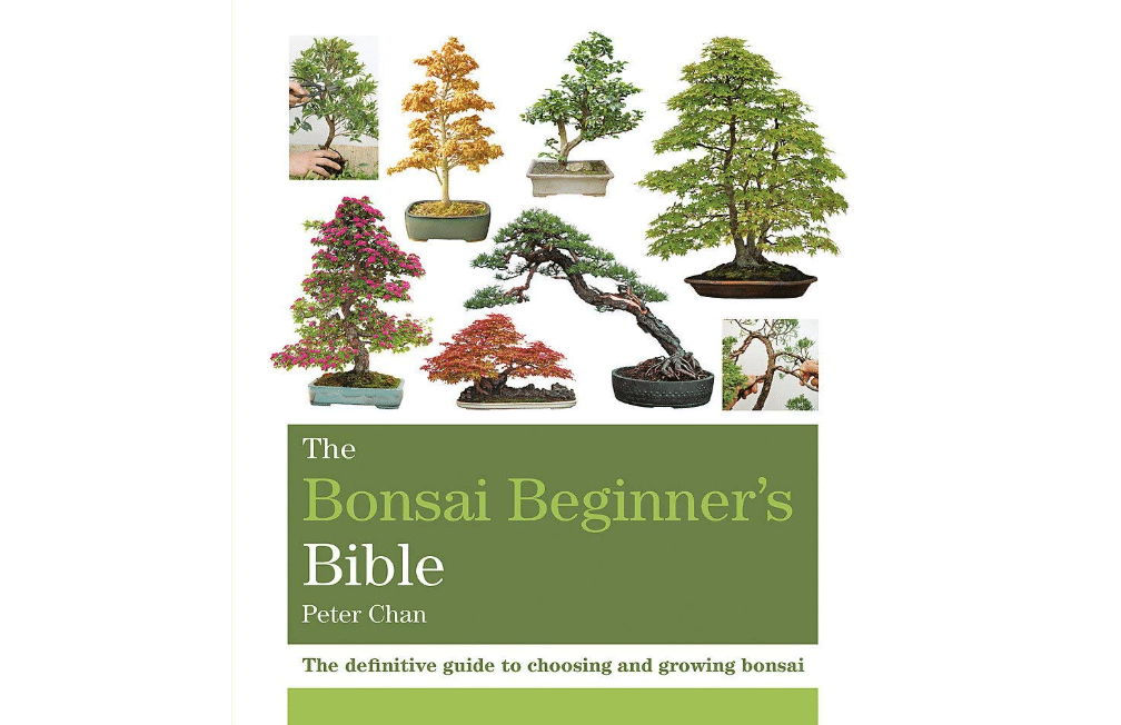 The Bonsai Beginner's Bible