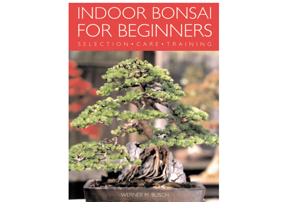 Indoor Bonsai for Beginners: Selection · Care