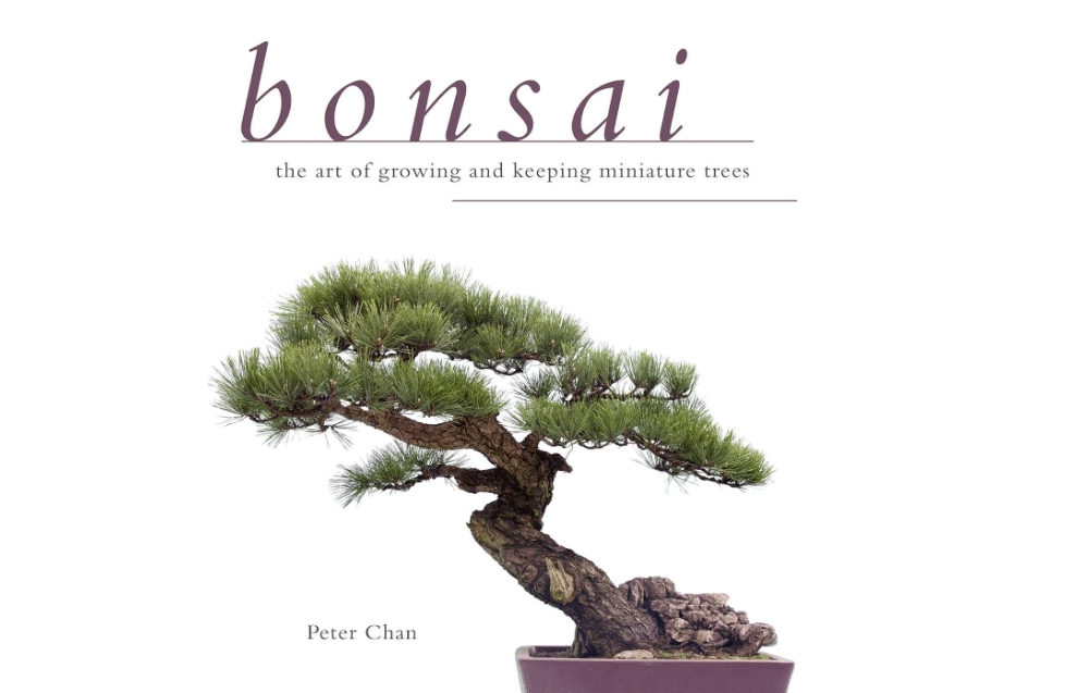 Bonsai: The Art of Growing and Keeping Miniature Trees