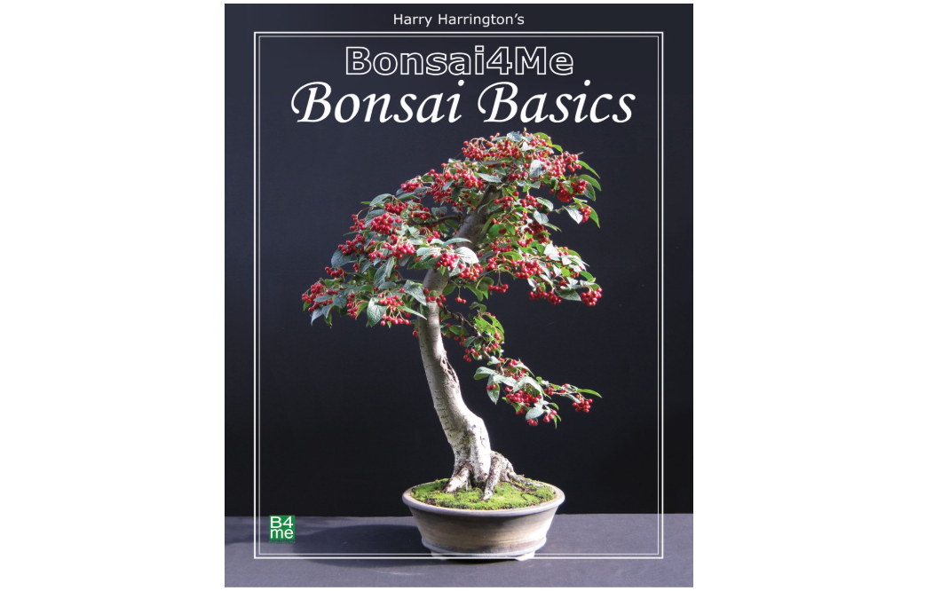 Bonsai4me: Bonsai Basics