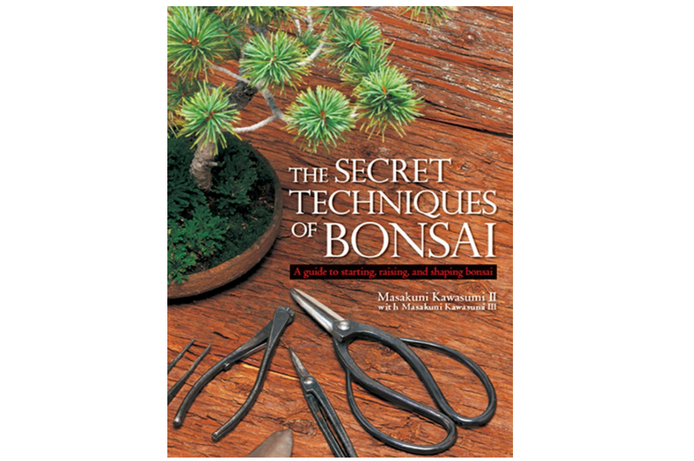 The Secret Techniques of Bonsai: A Guide to Starting, Raising