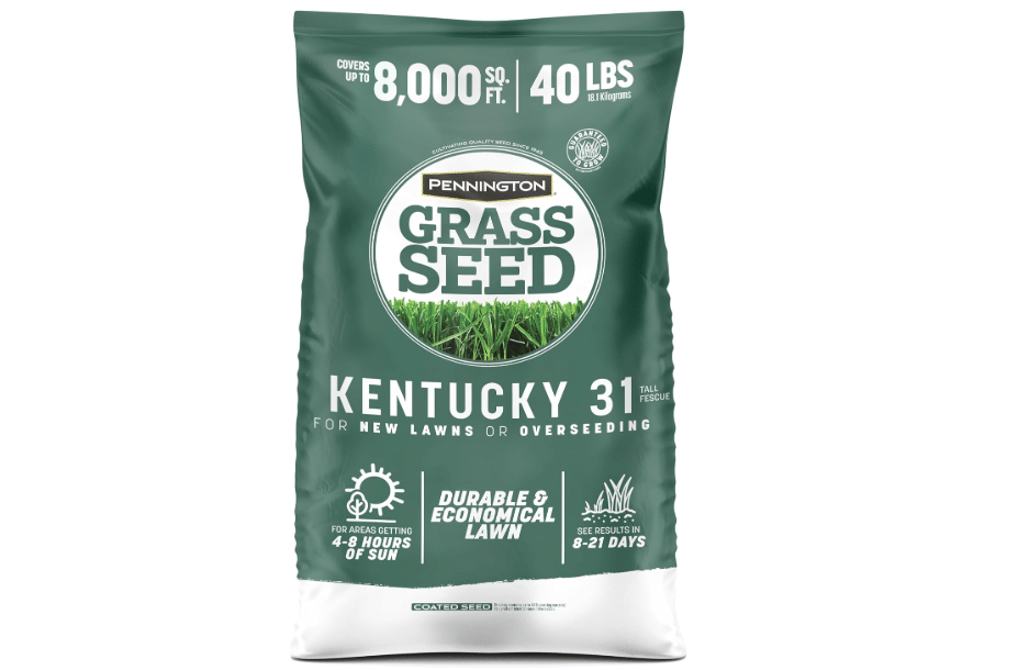 Pennington Kentucky 31 Fescue 40 LB Tall Fescue Grass Seed,