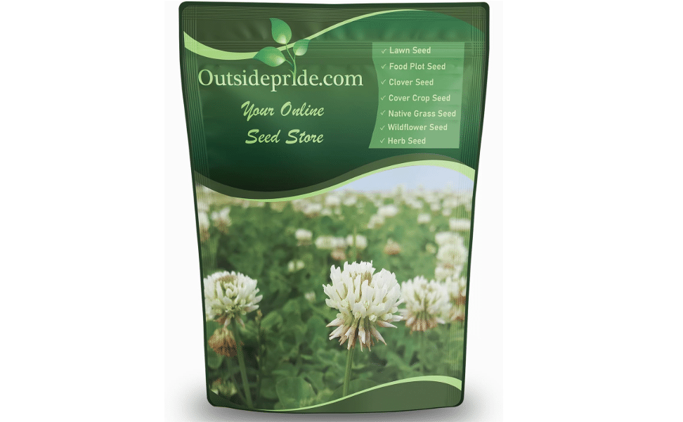 Outsidepride Perennial White Dutch Clover Seed - 1/4 lbs. Nitrocoated, Inoculated Clover Seeds for Lawn Alternative, Erosion Control, Food Plots, Ground