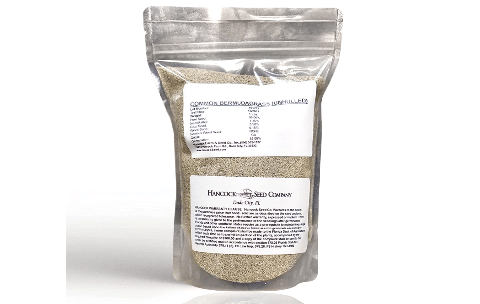 Hancock Seed Co. Common Bermuda Grass Seeds - Raw & Unhulled