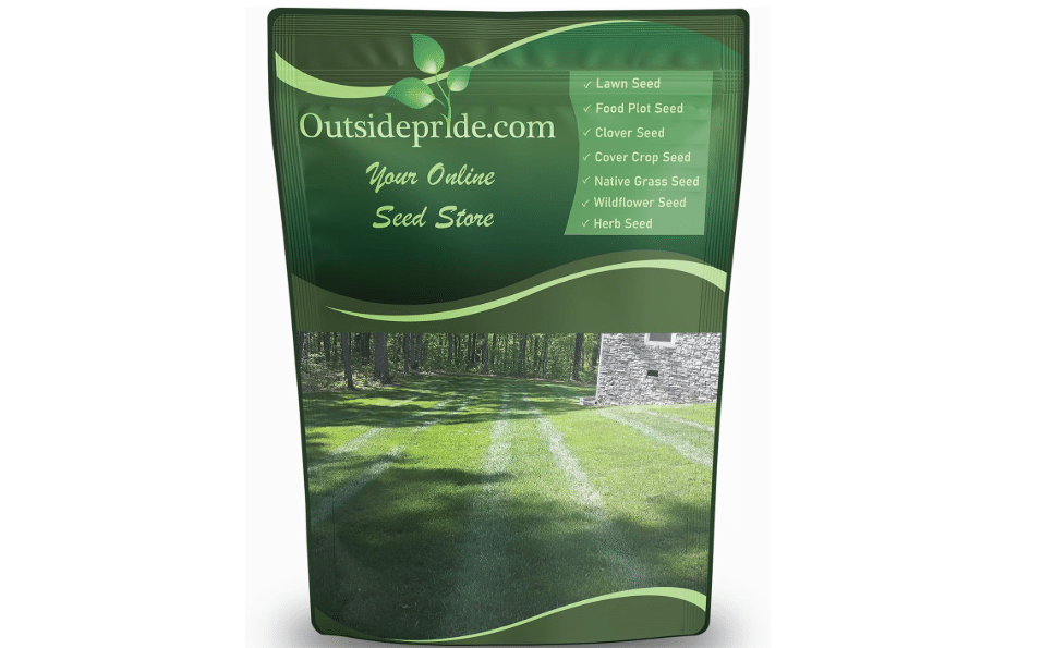  Outsidepride SPF-30 Hybrid Bluegrass Seeds - 10 lbs. Heat & Drought Tolerant, Texas Bluegrass & Kentucky Bluegrass Seed Mix for Challenging