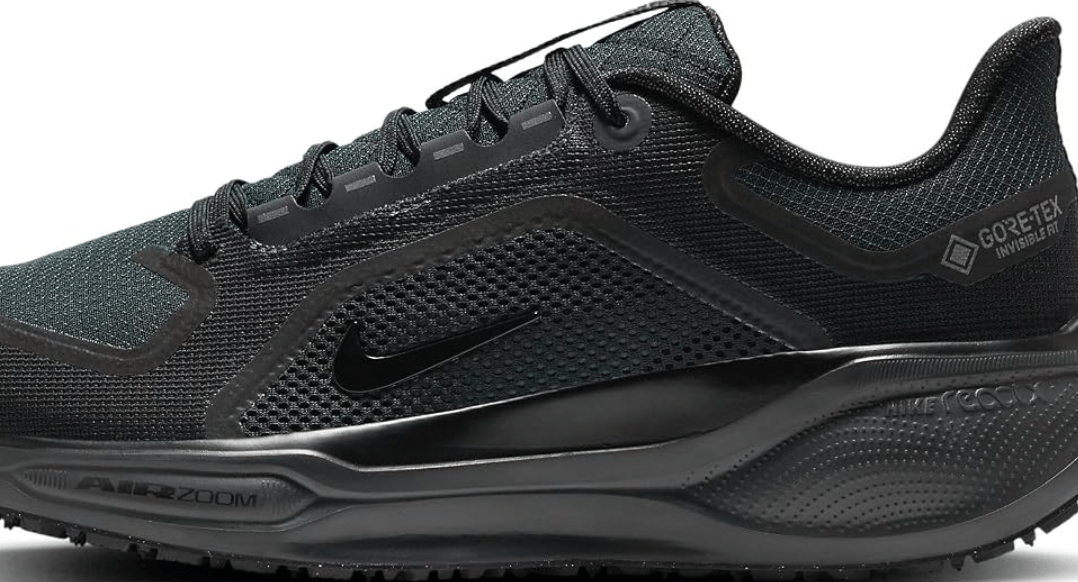 Nike Men's Pegasus 41 Gore-Tex Waterproof Road Running Shoes