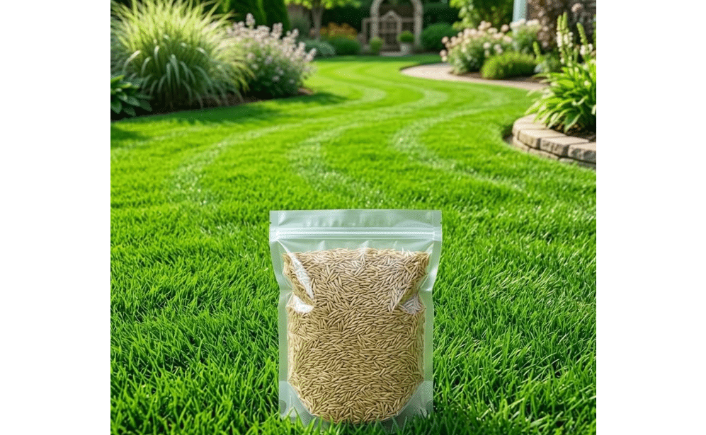 100.000 Zenith Zoysia Grass Seeds Zoysia Grass Seed for Lush Lawngrass Seeds,Low-Maintenance Lawn, Groundcover