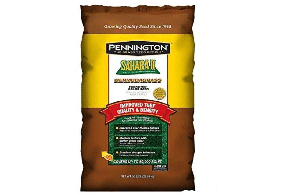 Pennington Sahara II Bermuda Grass Seed