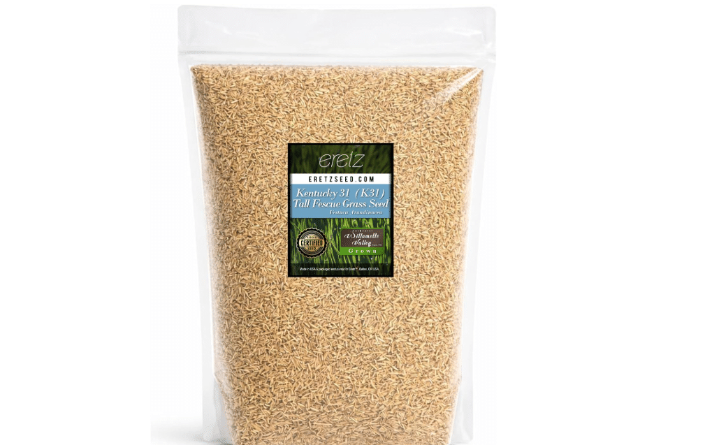 Kentucky 31 K31 Tall Fescue Grass Seed by Eretz - Choose Size! State Certified, No fillers, No Weed or Other Crop Seeds
