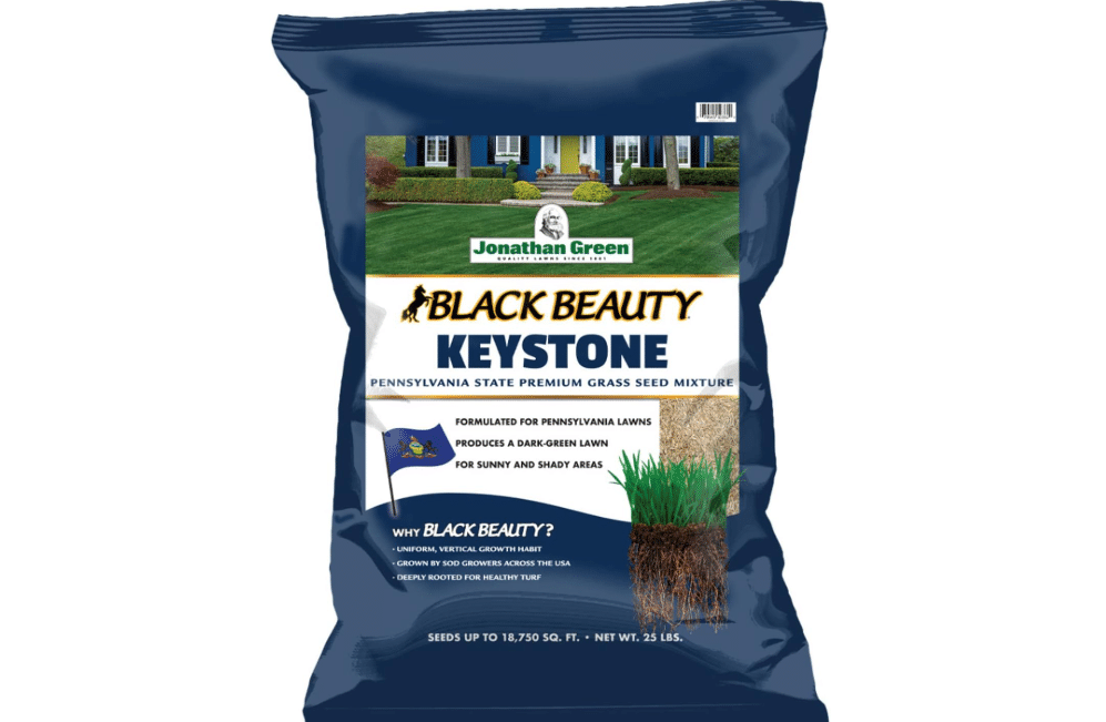  Jonathan Green Black Beauty Keystone PA Grass Seed - 25 lb