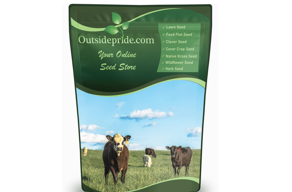  Outsidepride Perennial Ryegrass Seeds - 50 lb. Hardy & Fast-Growing, Cover Crop Seeds for Planting Glossy Dark Green Grass Leaves, Ideal for Hay