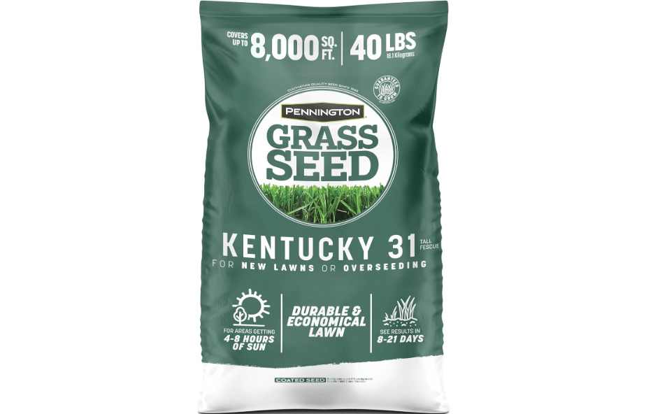  Pennington Kentucky 31 Fescue 40 LB Tall Fescue Grass Seed