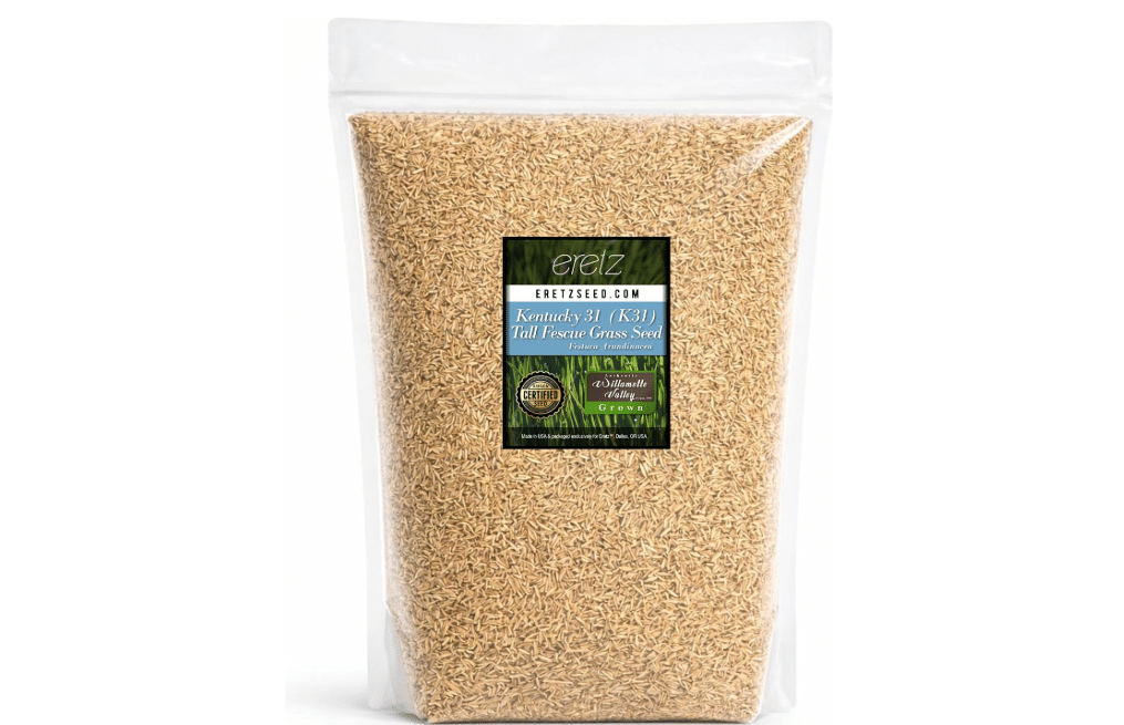 
Kentucky 31 K31 Tall Fescue Grass Seed by Eretz - Choose Size! State Certified, No fillers, No Weed or Other Crop Seed