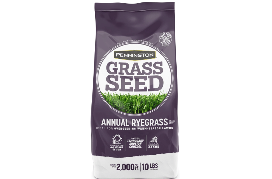
Pennington Annual Ryegrass, Grass Seeds for Lawn, 10 Lb | Winter Rye Grass Seed for Southern Lawns, Warm-Seasonal Lawns, 6-8 hours Full Sun