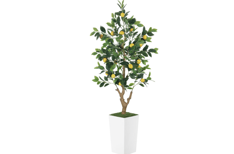 PHYTREE 5FT Artificial Lemon Tree with White Tall Planter | 60" Faux Lemon Plant with Realistic Fruits and Silk Leaves, Artificial Plants Indoor for.
