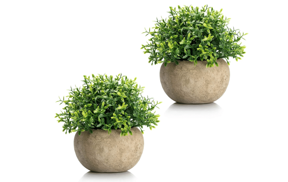 Velener 2Pcs Mini Artificial Boxwood Topiary Faux Plants Indoor- Small Fake Plants Decor Magnolia Home Office Desk Cubicle Farmhouse Kitchen Bookshelf