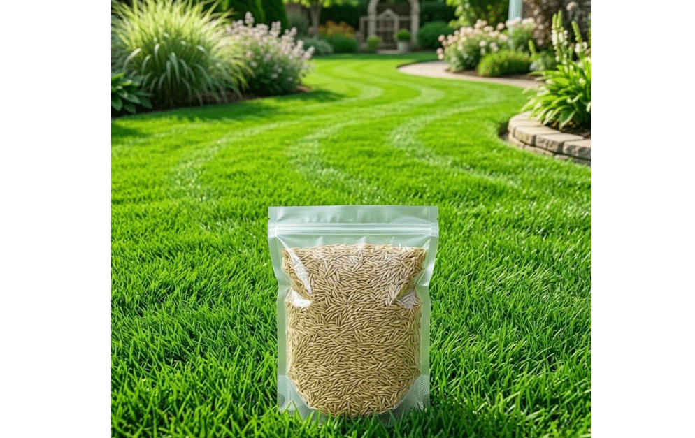 
100.000 Zenith Zoysia Grass Seeds Zoysia Grass Seed for Lush Lawngrass Seeds,Low-Maintenance Lawn, Groundcover