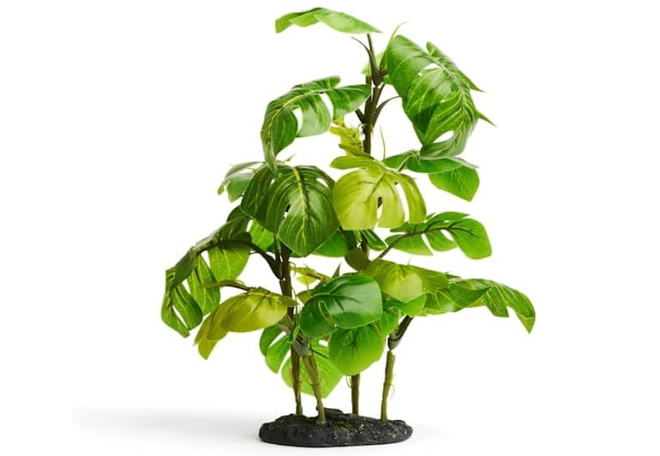 
imagitarium by Petco Stand Araceae Plant Terrarium Decor Large