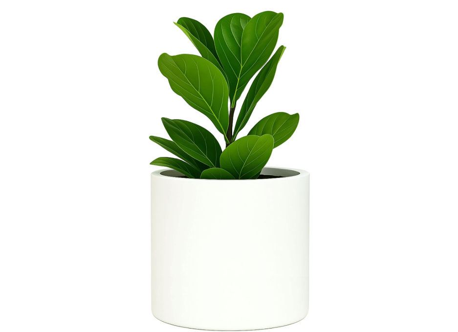 
Fox & Fern Large Planter for Indoor or Outdoor, White Matte, 12 Inch | UV & Frost Resistant, 70% Lighter than Ceramic, Flower Pot with Drainage