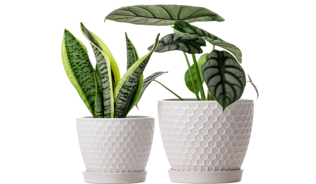 
Docrin Ceramic Plant Pots Set of 2 (6.6"+5.5"), High-Fired Clay Indoor Planters with Drainage Holes & Saucer, Honeycomb Modern Home Decor 