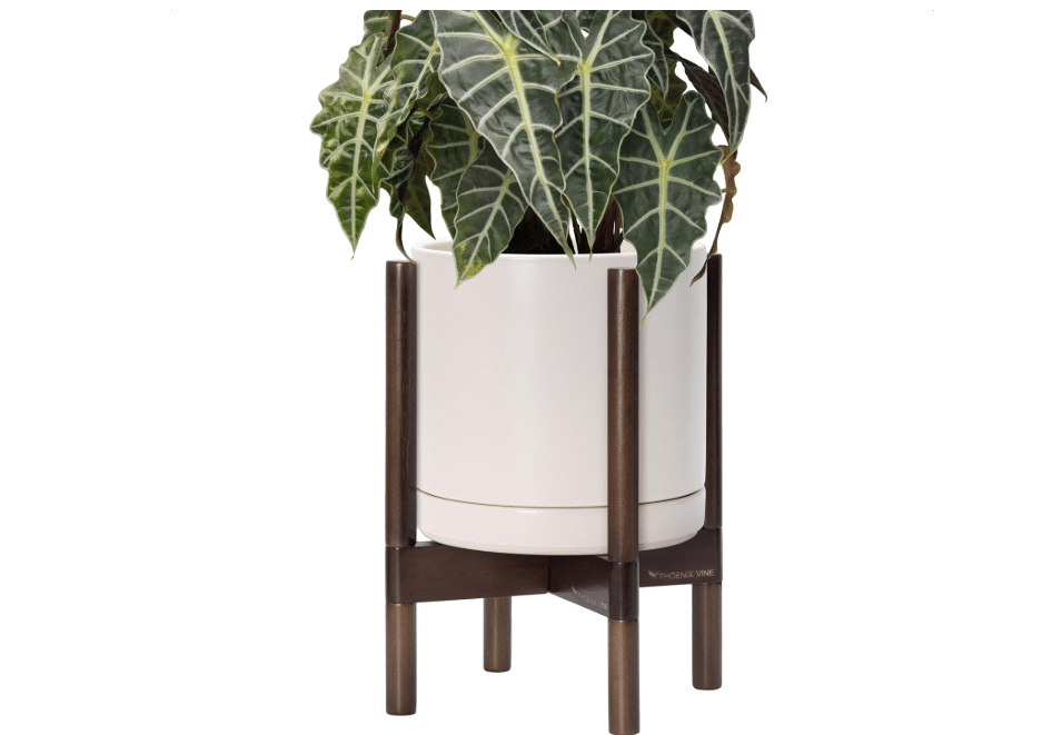 D'vine Dev Ceramic Pot with Walnut Wood Stand, Oatmeal, 10 in, 55-B-X-8 | Mid-Century Modern Design, Raised Plant Display, Solid Beech Wood Stand