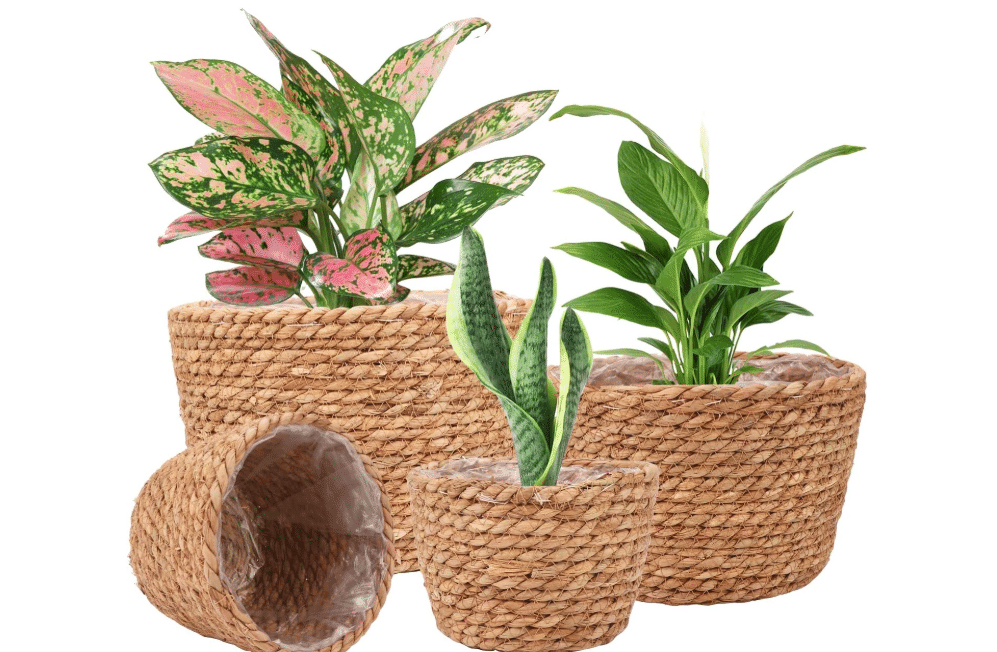  Ufrount Seagrass Planter Basket Stylish Planter Baskets, Set of 4 | Indoor and Outdoor Plants, Flower Pots Cover and Room