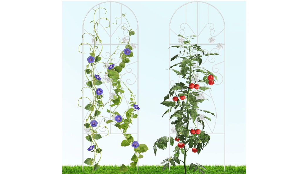 Gray Bunny White Trellis for Climbing Plants Outdoor - 2 Pack, 60" x 18" Metal Wire Lattice Grid Panels for Cucumber & Vegetables, Clematis