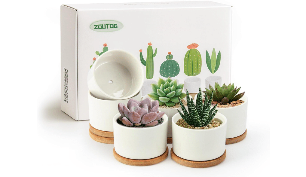 
ZOUTOG 6 Pack 3.1" Ceramic Succulent Pots,White Planter with Drainage Tray | Round Flower Plant Pot Ideal for Windowsill, Bedroom and Living Room