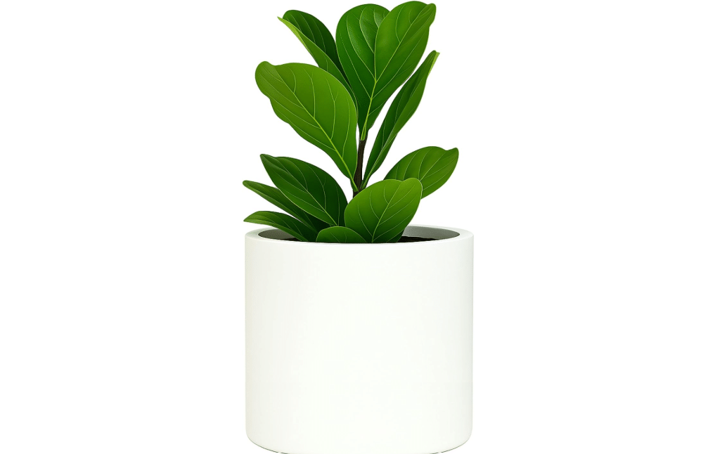 
Fox & Fern Large Planter for Indoor or Outdoor, White Matte, 12 Inch | UV & Frost Resistant, 70% Lighter than Ceramic, Flower Pot with Drainage Plug