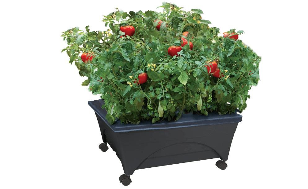 Emsco Group City Picker Raised Bed Grow Box – Self Watering and Improved Aeration – Mobile Unit with Casters