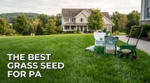 best grass seed for pa