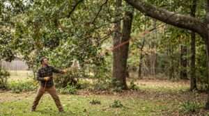 best rope saw for tree limbs