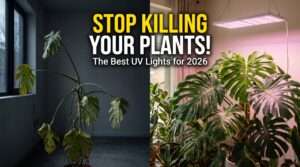 best uv light plants
